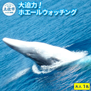 yӂ邳Ɣ[ŁzzG[EHb`O l1 7000~N[| W[ ̌^ ANeBreB EHb`O ώ@ s ό V NW  ~ CJ D {[g yp C 