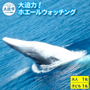 yӂ邳Ɣ[ŁzzG[EHb`O l1Ǝq1 11000~N[| W[ ̌^ ANeBreB EHb`O ώ@ s ό V NW  ~ CJ D {[g y