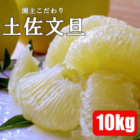 【ふるさと納税】園主こだわりの土佐文旦 10kg 2024年1月下旬より順次発送 文旦 みかん 柑橘 ぶんたん ブンタン 果物 フルーツ お取り寄せ おいしい 美味しい 故郷納税 ふるさと納税 春 旬 ふるさとのうぜい 返礼品 高知県 高知 18000円