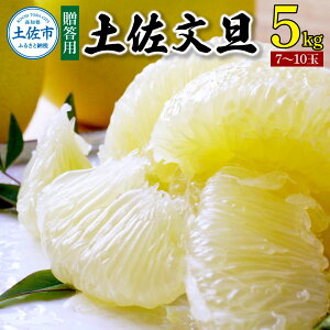 yӂ邳Ɣ[Łzys\zU  Iׂ 3L 5L 2026N1{菇 Ԃ񂽂 ϔp {Mtg2024 I t[c u^ k ʕ  Mtg y 