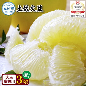 【ふるさと納税】【先行予約】文旦 大玉 選べる 3キロ 5キロ 2026年1月下旬より順次発送 ぶんたん 化粧箱贈答用 日本ギフト大賞2024受賞 厳選 フルーツ ブンタン 柑橘 果物 贈答 ギフト 土佐 高知 ふるさと納税 春 旬 故郷納税 高知県 土佐市