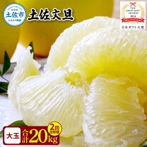 楽天市場】土佐文旦 10kg 2lの通販