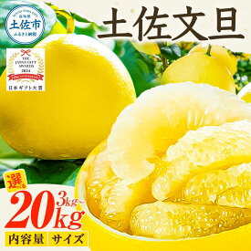 【ふるさと納税】【先行予約】文旦 選べるサイズと内容量 3kg~20kg 小玉 大玉 大小混合 6000円~46000円 土佐文旦 ぶんたん 日本ギフト大賞 2024受賞 柑橘 フルーツ ブンタン みかん 果物 くだもの 贈答用 家庭用 美味しい 人気 おすすめ 故郷納税 高知 やの一果彩 春 旬