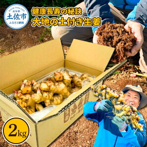 yӂ邳Ɣ[ŁzN̔錍 n̓ytI2kg Y VEK 傤 VEK WW[ WW[G[ VEKVbv IĂ    N I VN m