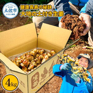 yӂ邳Ɣ[ŁzN̔錍 n̓ytI4kg Y VEK 傤 VEK WW[ WW[G[ VEKVbv IĂ    N I VN m