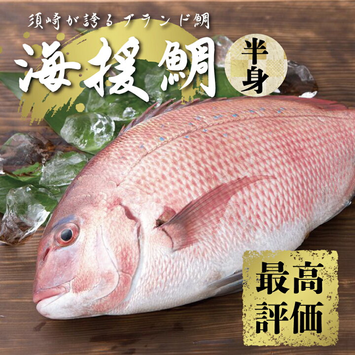 楽天市場 ふるさと納税 最高峰評価のブランド鯛 海援鯛 半身フィーレセット マダイ 鯛 タイ 魚 魚介類 醤油 セット つま 大葉 刺身 すぐに食べれる 高知県須崎市