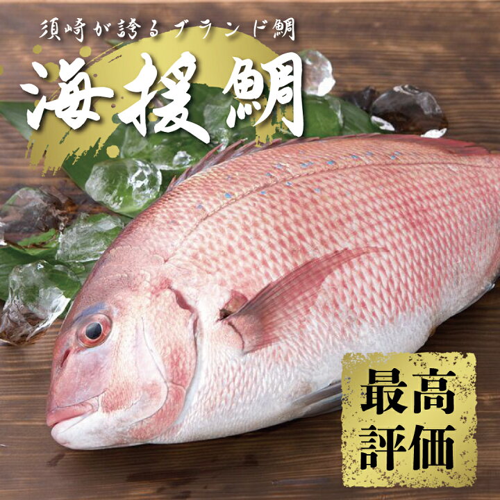 楽天市場 ふるさと納税 最高峰評価のブランド鯛 海援鯛 １匹フィーレセット マダイ 鯛 タイ 魚 魚介類 醤油 セット つま 大葉 刺身 高級魚 すぐに食べれる 高知県須崎市