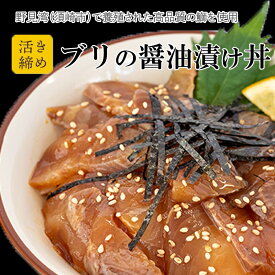 【ふるさと納税】 鰤 漬け丼 60g × 4パック | 海鮮 丼 醤油漬け 活き締め ブリ ぶり 惣菜 漬丼 お手軽 おかず 魚 刺身 小分け ギフト 人気 加工品 お茶漬け 冷凍 時短 国産 産地直送 みなみ丸 高知県 須崎市 ふるさと納税漬け丼