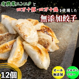 【ふるさと納税】 有機 葉 ニンニク と 四万十 豚 で作った 最高級 餃子 （ 6個 x 2~8パック ）ぎょうざ ギョウザ にんにく 高知 野菜 EA0271_3x