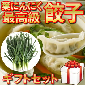 【ふるさと納税】 化粧箱入り 有機 葉ニンニク と 四万十豚で作った 最高級 餃子 ギフト セット 高知県 須崎市 EA0821