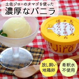 【ふるさと納税】 アイスクリーム 10個 セット 濃厚 バニラ 土佐ジロー 卵 使用 高知県産 須崎市