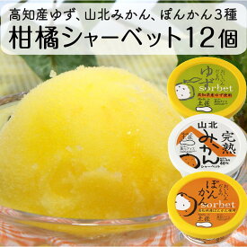 【ふるさと納税】 アイスクリーム 3種 12個 セット 柑橘 シャーベット ゆず みかん ポンカン 高知県産 須崎市