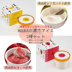 【ふるさと納税】 濃厚な甘さと味わいに恋する NOUKA の濃恋(こいこい) アイス 2種セット 計6個 いちご 3個 バナナ3個 ( アイスクリーム 果物 いちご イチゴ 苺 バナナ ばなな 練乳 卵 クリーム 果実入り トッピング ソース付き 夏 お子様 おやつ 添加物 不使用 ) EA104