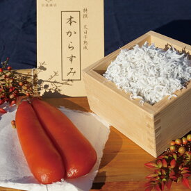 【ふるさと納税】 本からすみ 100g 以上 ［高級珍味］ 須崎獲れ 釜揚げしらす 1kg セット 唐墨 高級 珍味 酒の肴 つまみ 魚卵 高知 国産 日本酒 熨斗 贈答 カラスミ ボッタルガ しらす ふるさと納税からすみ ふるさと納税しらす カラスミ 新鮮 高知 須崎 MS015