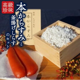 【ふるさと納税】 本からすみ 30g ~ 100g 以上 釜揚げしらす 100g ~ 1kg セット 唐墨 からすみ 珍味 酒の肴 つまみ 魚卵 酒 日本酒 ビール ワイン 新鮮 シラス 海 魚 さかな 海鮮 魚介 食品 食材 加工品 しらす丼 パスタ お歳暮 贈答 ギフト 詰め合わせ 高知県 須崎市 MS015