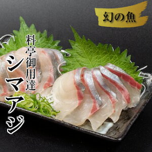 魚 シマアジの人気商品 通販 価格比較 価格 Com 魚 シマアジの人気商品 通販 価格比較 価格 Com