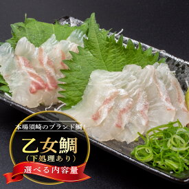 【ふるさと納税】 本場須崎のブランド鯛 乙女鯛 フィーレ 刺身用 アラ付き 1〜2尾 セット ( 冷蔵 刺身 お刺し身 タイ 鯛 高級魚 鮮魚 海鮮 魚介 煮付け アラ汁 ふるさと納税鯛 ふるさと納税真鯛 )