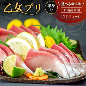 yӂ邳Ɣ[Łz  u hg p 700g ` 1000g _o ① VN uh  Ԃ  ؂g u m{s {s  N iLj m