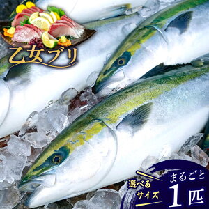 yӂ邳Ɣ[Łz Yn  Ԃ 1{ 3`4kg 4`5kg ۂ { uh u ① VN Y NNn  u  m {s