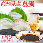 【ふるさと納税】 ブランド 真鯛 乙女鯛 1匹分 ( 約900g~1kg ) お刺身加工 柵 マダイ アラ付き 冷蔵 ( たい タイ 高級魚 鮮魚 魚介 海鮮 産地直送 贈答 ギフト 贈り物 祝い 記念日 中元 歳暮 ) KS037