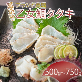 【ふるさと納税】 ブランド 真鯛 乙女鯛 藁焼き タタキ 1尾分 （ 550g ～ 750g ) 真鯛 特製 ポン酢 付き 柵 マダイ 冷凍 鯛 たい タイ 高級魚 鮮魚 魚介 魚 海鮮 産地直送 高知県 須崎市