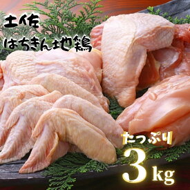 【ふるさと納税】 鶏肉 もも 2kg 手羽先 1kg セット 冷凍 ブランド 鶏 パック 詰め合わせ 土佐 はちきん 地鶏 国産 とり肉 とり チキン 自然 大地 卵 唐揚げ ステーキ おかず 料理 食品 加工品 おすすめ 送料無料 お歳暮 贈答 ギフト 敬老の日 お正月 高知県 須崎市 ME056_x