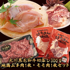 【ふるさと納税】 肉 牛肉 国産 黒毛 和牛 切り落とし 300g 鶏肉 もも むね お得 パック 詰め合わせ 土佐はちきん地鶏 希少 幻の大川黒毛和牛 ブランド鶏 土佐はちきん地鶏 高知県 須崎市