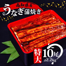 【ふるさと納税】 肉厚 うなぎ の 蒲焼き 220g × 10尾 自家製 タレ 10個 セット 頭付き 鰻 手焼き 蒲焼 タレ付き ふっくら 香ばしい うなぎ蒲焼き 鰻蒲焼 高知県産 国産 養殖鰻 養殖うなぎ 冷凍 惣菜 真空パック 温めるだけ 簡単調理 高知県 須崎市 土用の丑の日