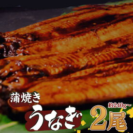 【ふるさと納税】 有頭 うなぎ 蒲焼 2尾 240g以上（ 120g～140g × 2尾 ） | 鰻 ウナギ 蒲焼 蒲焼き 大人気 タレ スタミナ 夏バテ 小分け 真空包装 冷凍 台湾産 養殖 土用の丑の日 高知県 須崎市 ふるさと納税うなぎ ME065_x