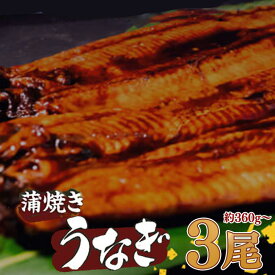 【ふるさと納税】 有頭 うなぎ 蒲焼 3尾 360g以上（ 120g～140g × 3尾 ） | 鰻 ウナギ 蒲焼 蒲焼き 大人気 タレ スタミナ 夏バテ 小分け 真空包装 冷凍 台湾産 養殖 高知県 須崎市 ふるさと納税うなぎ 土用の丑の日 ME0121_x
