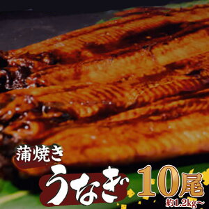 yӂ邳Ɣ[Łz L Ȃ  10 1.2kgȏi 120g`140g × 10 j | V EiM  Ă lC ^ X^~i ăoe  ^ Ⓚ pY {B m {s ӂ邳Ɣ[ł