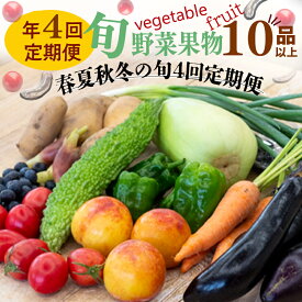【ふるさと納税】 【 定期便 4回 】 野菜 ・ 果物 10 ～ 13 種類 セット | お楽しみ やさい フルーツ セット 旬 新鮮 農家 直送 詰め合わせ 国産 季節 ぶどう いちご スイカ きゅうり ピーマン なす トマト 大根 白菜 頒布会 高知県 須崎市 ふるさと納税野菜定期便