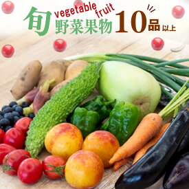 【ふるさと納税】 野菜 ・ 果物 10 ～ 13 種類 セット | 季節 旬 野菜 詰め合せ 国産 季節 旬 おまかせ 産地直送 春野菜 夏野菜 秋野菜 きのこ 葉物 果物 果菜 根菜 冷蔵 野菜室 食 栄養食 加工品 季節限定 山菜 ブロッコリー たまねぎ サラダ トマト 高知県 須崎市 ME001_x