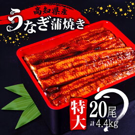 【ふるさと納税】 肉厚 うなぎ の 蒲焼き 220g × 20尾 自家製 タレ 20個 セット 頭付き 鰻 手焼き 蒲焼 タレ付き ふっくら 香ばしい うなぎ蒲焼き 鰻蒲焼 高知県産 国産 養殖鰻 養殖うなぎ 冷凍 惣菜 真空パック 温めるだけ 簡単調理 高知県 須崎市 土用の丑の日