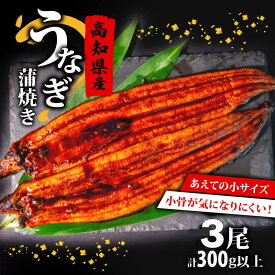 【ふるさと納税】 肉厚 うなぎ の 蒲焼き 100g ～ 120g × 3尾 計300g 以上 自家製 タレ 3個 セット 頭付き 鰻 手焼き 蒲焼 タレ付き 香ばしい うなぎ蒲焼き 鰻蒲焼 高知県産 国産 養殖鰻 養殖うなぎ 冷凍 惣菜 真空パック 簡単調理 高知県 須崎市 土用の丑の日