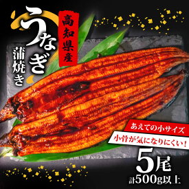 【ふるさと納税】 高知県産 養殖 うなぎ 蒲焼 100g～120g×5尾 セット タレ付き 贈答 養殖 肉厚 鰻 土用丑の日 敬老の日 高知県 須崎市 ふるさと納税うなぎ