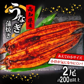 【ふるさと納税】 国産 高級 うなぎ 蒲焼 100g～120g 計 2尾 セット タレ付き 贈答 養殖 肉厚 鰻 土用丑の日 敬老の日 高知県 須崎市 ふるさと納税うなぎ