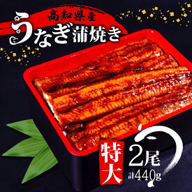 【ふるさと納税】 国産 うなぎ 蒲焼き 2尾 ( 1尾 約 220g ) 尾頭付き 土用の丑の日 高知県産 蒲焼 特大 特上 鰻 ひつまぶし うな丼 うな重 お歳暮 ギフト 冷凍 養殖 ふるさと納税うなぎ 高知県 須崎市 秘伝タレ付き 真空パック 惣菜 人気 ランキング おすすめ ME0631_x