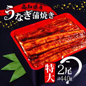 yӂ邳Ɣ[Łz Y Ȃ Ă 2 ( 1  220g ) t yp̉N̓ mY    V Ђ܂Ԃ Ș ȏd Ε Mtg Ⓚ {B ӂ邳Ɣ[łȂ m {