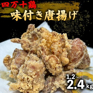 yӂ邳Ɣ[Łz {  ނ 2.4kg 16lO uh{ l\{ Ђ e wV[ Zbg g g 炠p m {s ӂ邳Ɣ[œg