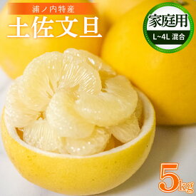 【早期予約開始!!2026年2月頃より順次発送】【ふるさと納税】 訳あり 浦ノ内特産 家庭用 土佐文旦 5kg L ～ 4L サイズ 混合 | みかん 蜜柑 柑橘 文旦 5キロ 明神果樹園 人気 ランキング 数量限定 期間限定 高知県 須崎市 ふるさと納税果物 MKJ008_xx