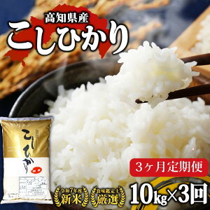 �y�ӂ邳�Ɣ[�Łz �y R7�N�Y �V�� ����� �z �R�V�q�J�� �V�� ����� 8�����{������n ���m���Y ���� �I�ׂ� 3kg 5kg 10kg 3 �` 6�� �� �R�V�q�J�� ���� ���� �V�� ���͂� ���� �Y�n���� ���I �{��s