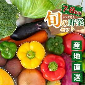 【ふるさと納税】 野菜 定期便 旬 選べる容量 1回 3回 6回 12回 産地直送 新鮮 朝採れ 季節野菜 詰め合わせ セット トマト キャベツ ナス かぼちゃ 人参 大根 じゃがいも きゅうり ネギ ほうれん草 高知県 須崎市 食品 お楽しみ 特産品 ベジタブル バラエティ おすすめ