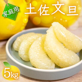 【ふるさと納税】 訳あり 文旦 5kg 早期予約 2026年2月より順次発送 産地直送 安和文旦 柑橘 フルーツ 果物 くだもの 果実 みかん 土佐文旦 ぶんたん デザート ご褒美 高知県 須崎市 ふるさと納税 NPO