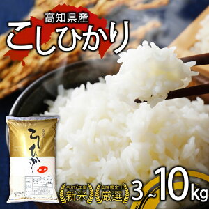 yӂ邳Ɣ[Łz y R7NY V z RVqJ V 8{n Iׂe 3kg 5kg 10kg 15kg mY  I HӒm Yn RVqJ  ͂   mY Y lC 