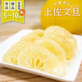 【ふるさと納税】 土佐文旦 秀品 優品 家庭用 10kg 5kg 高知県産 柑橘 旬 【2026年2月より順次発送】 フルーツふるさと納税 文旦 ぶんたん 果物 みかん 蜜柑 くだもの ふるさと納税柑橘 ふるさと納税文旦 先行予約 期間限定 数量限定 訳あり 分担 再販 高知 須崎