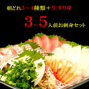 生 イカ 刺身 その他の魚介類の人気商品 通販 価格比較 価格 Com