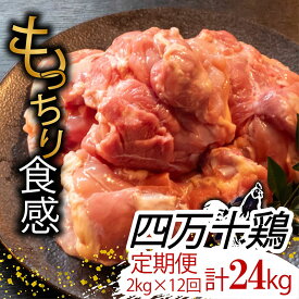 【ふるさと納税】 【定期便12回】銘柄鶏 四万十鶏 もも肉 計24kg（2kg×12ヶ月連続お届け) Uコース | 切身 カット 時短 小分け カット済み 鳥肉 とりにく 鶏もも 冷蔵 国産 ブランド 唐揚げ 煮物 鍋 チキン 南蛮 高知県 須崎市 ふるさと納税鶏肉定期便 鶏肉 定期便 TM23000
