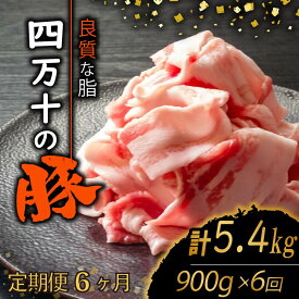 【ふるさと納税】 【定期便6回】四万十ポークスライス 計5.4kg（900g×6ヶ月連続お届け) 2Cコース | 豚肉 豚バラ肉 小分け 小間切れ スライス 切り落とし 冷凍 真空パック 簡単調理 細切れ 大容量 肉 高知県 須崎市 ふるさと納税豚肉定期便 TM31000