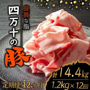 yӂ邳Ɣ[Łz y12zl\|[NXCX v14.4kgi1.2kg×12A͂) 2GR[X | ؓ ؃o  Ԑ؂ XCX ؂藎Ƃ Ⓚ ^pbN ȒP א؂ 